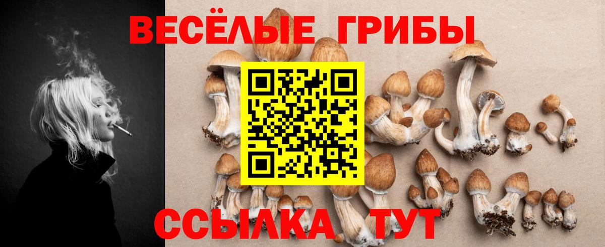 Галлюциногенные грибы Magic Shrooms  Галлюциногенные грибы GOLDEN TEACHER  Зерноград  Вход с VPN 